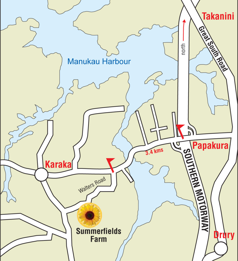 Contact Us Summer Fields KarakaSummer Fields Karaka